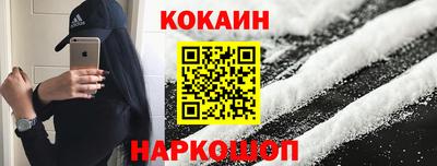 мдпв Новозыбков