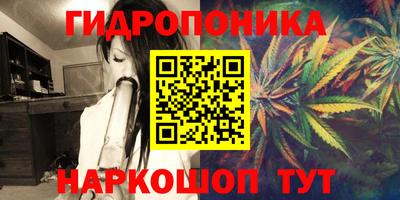 каннабис Новодвинск