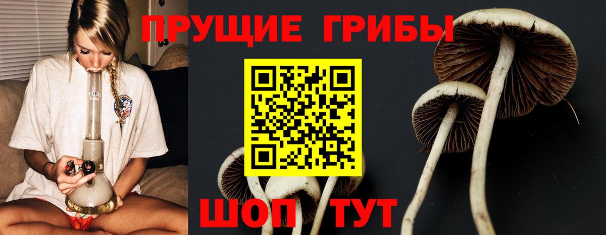 Псилоцибиновые грибы Magic Shrooms  Вход с VPN  Галлюциногенные грибы GOLDEN TEACHER  дарнет шоп  Сарапул 