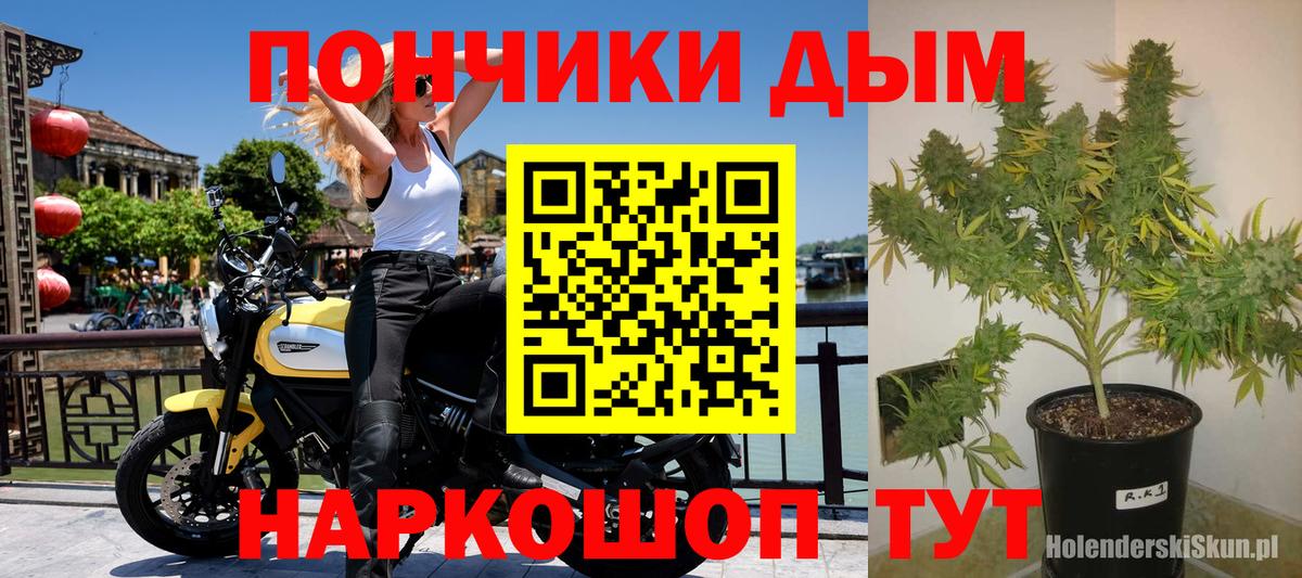 Канабис Amnesia  Канабис MAZAR  Сарапул  Вход с VPN  МАРИХУАНА гибрид 